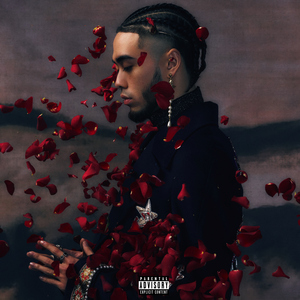 我爱熟妇hd视频
